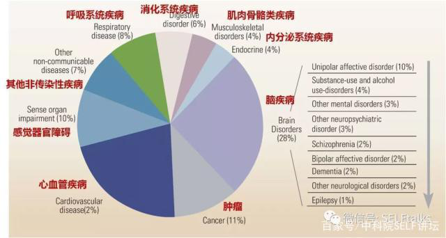 中國腦健康日關(guān)注“頭”等大事，中國腦科技的未來是什么？